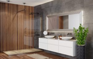 Phoenix Shower Installation iStock 1273394437 300x191